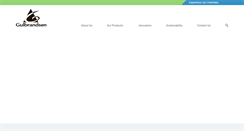 Desktop Screenshot of gulbrandsen.com
